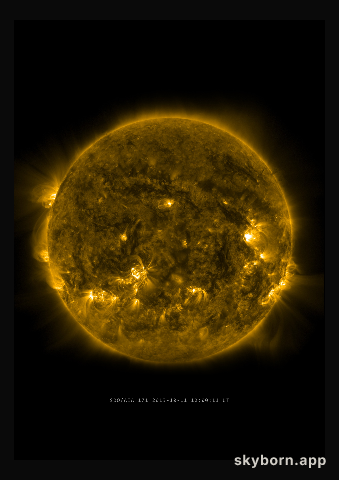 The Sun on 11 October 2013