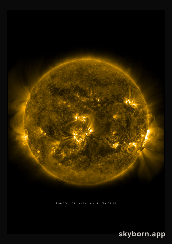 The Sun on 8 November 2013