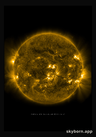The Sun on 9 November 2013