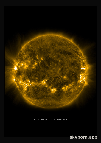 The Sun on 13 November 2013