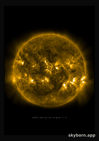The Sun on 19 November 2013