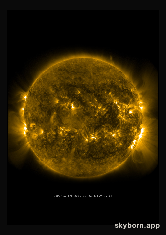 The Sun on 22 November 2013