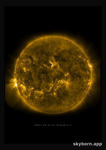 The Sun on 29 November 2013