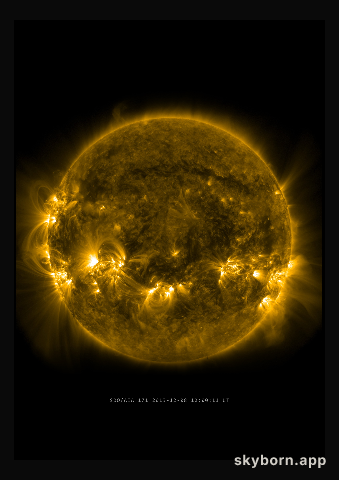 The Sun on 8 December 2013