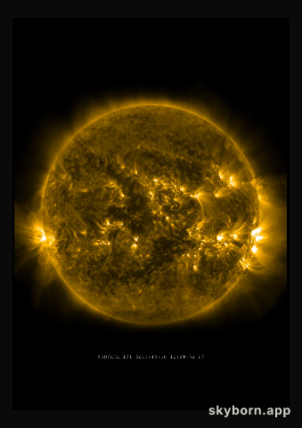 The Sun on 16 December 2013