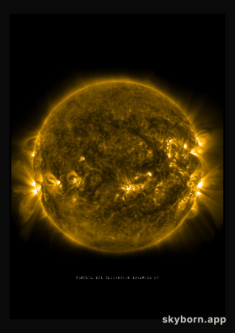 The Sun on 19 December 2013