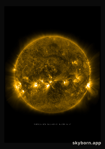 The Sun on 24 December 2013