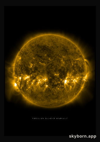 The Sun on 28 December 2013