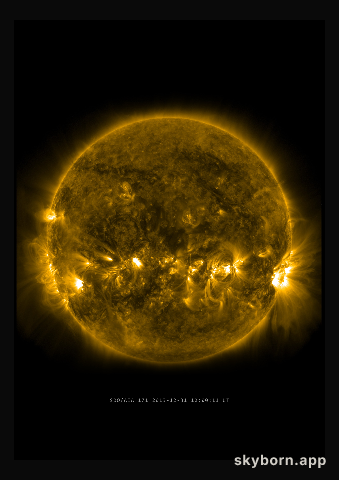 The Sun on 31 December 2013