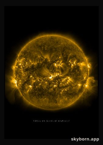 The Sun on 8 January 2014