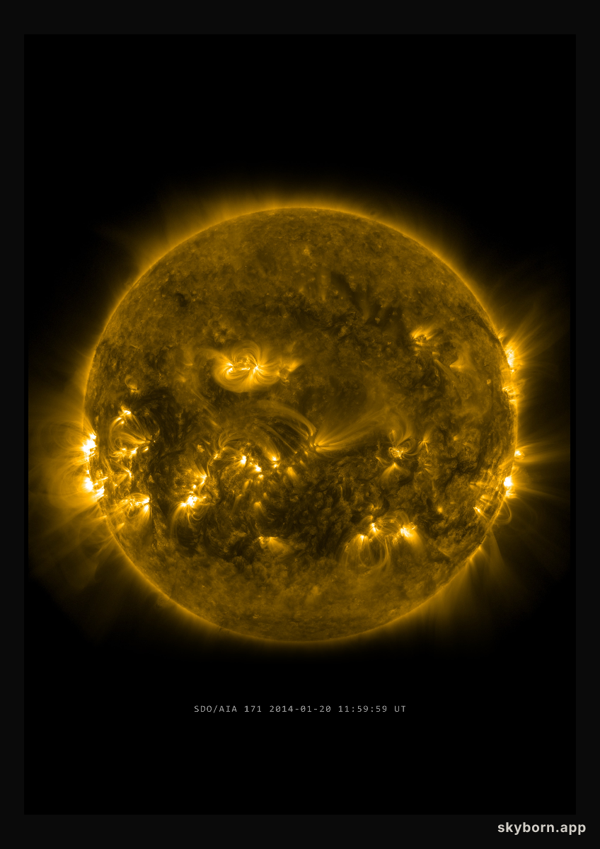 The Sun on 20 January 2014