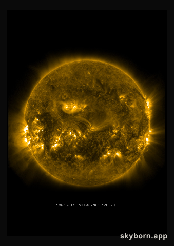 The Sun on 20 January 2014