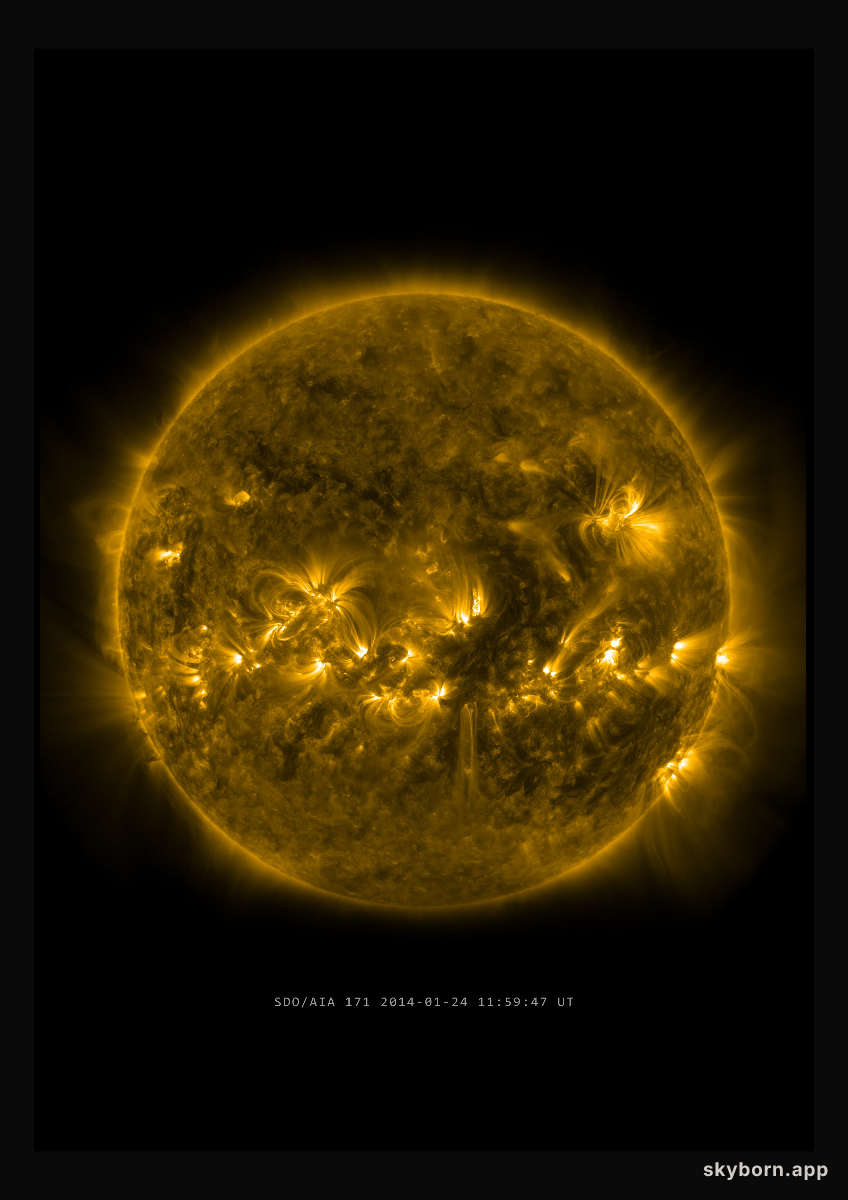 The Sun on 24 January 2014