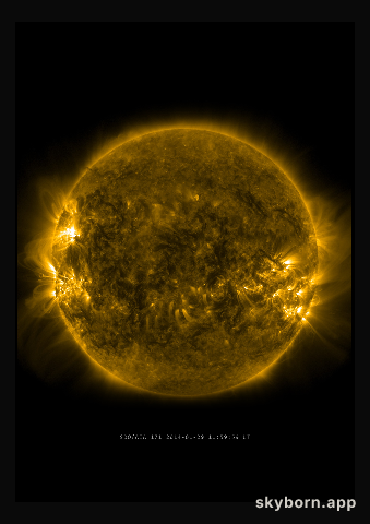 The Sun on 29 January 2014