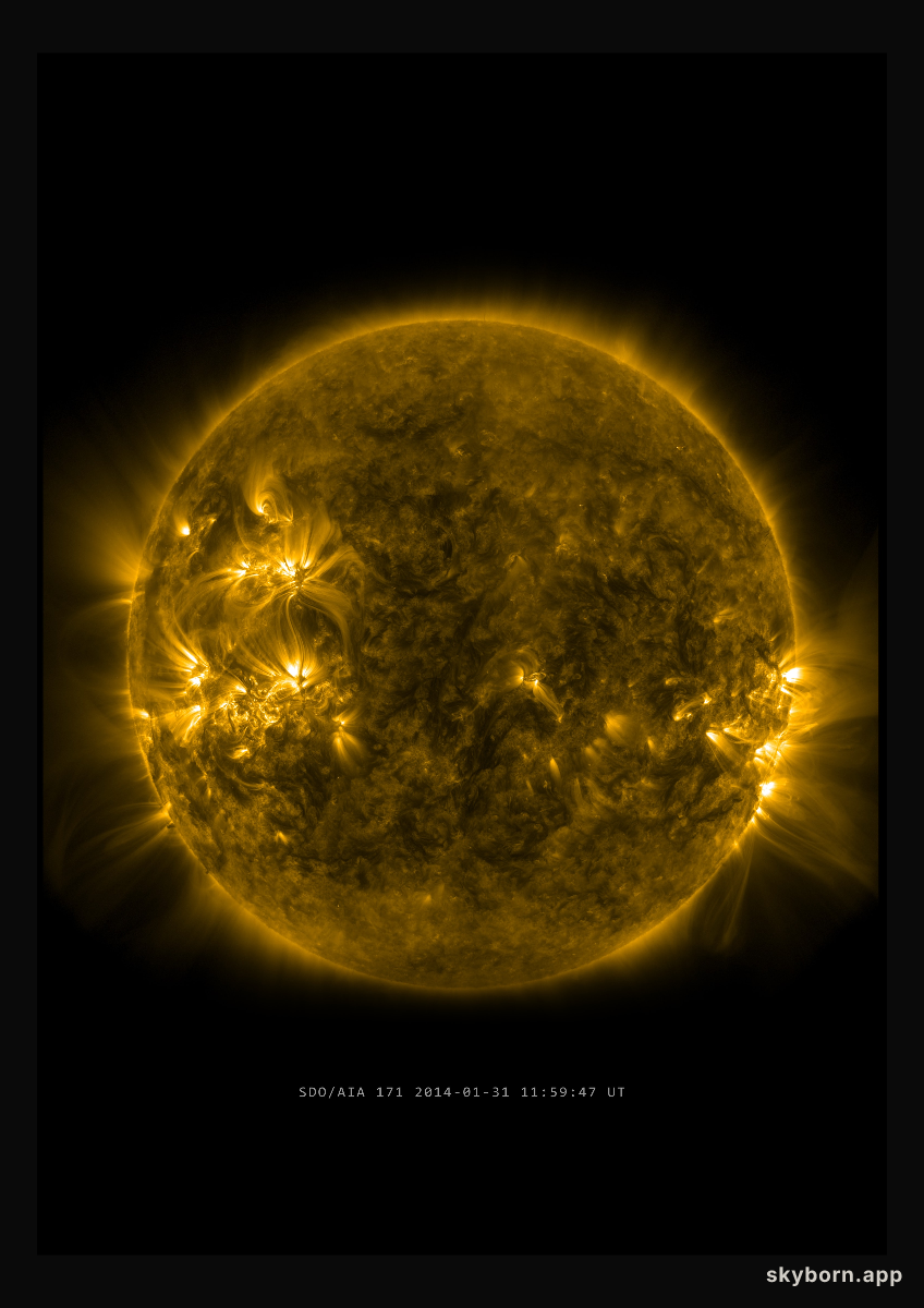 The Sun on 31 January 2014