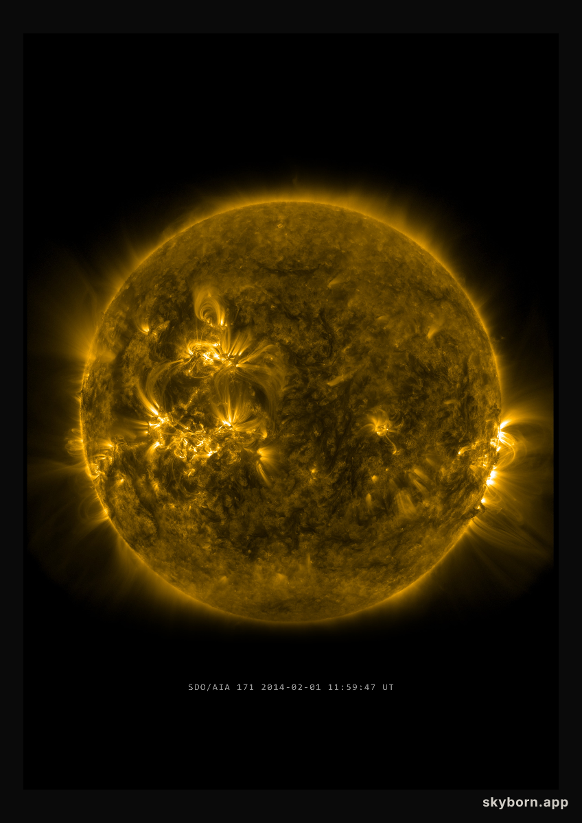 The Sun on 1 February 2014