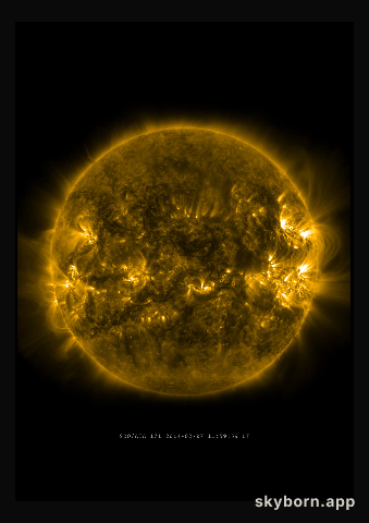 The Sun on 7 February 2014