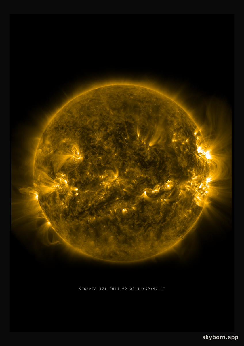 The Sun on 8 February 2014