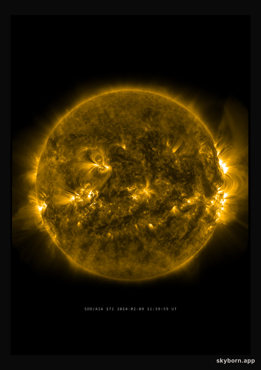 The Sun on 9 February 2014