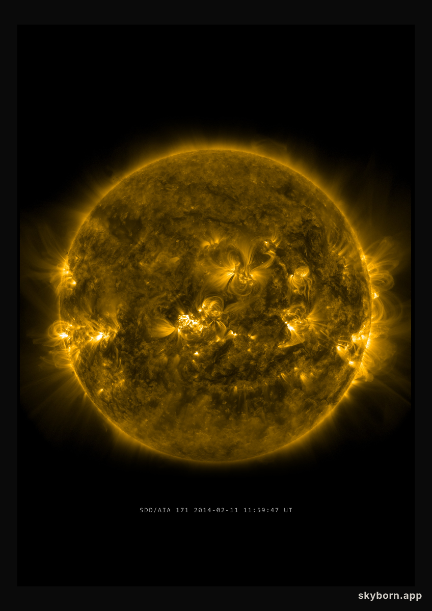 The Sun on 11 February 2014