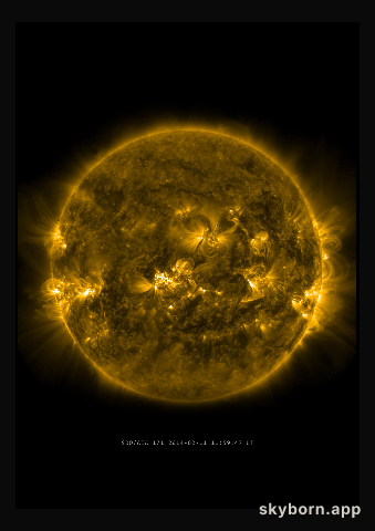 The Sun on 11 February 2014