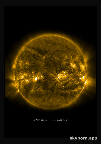 The Sun on 13 February 2014