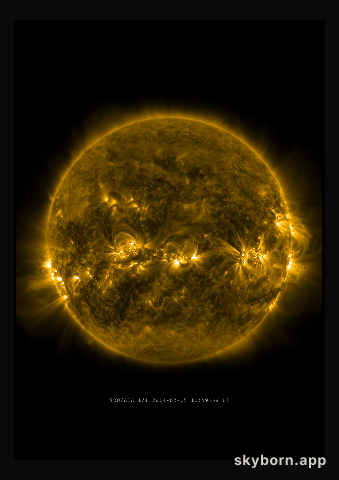 The Sun on 15 February 2014