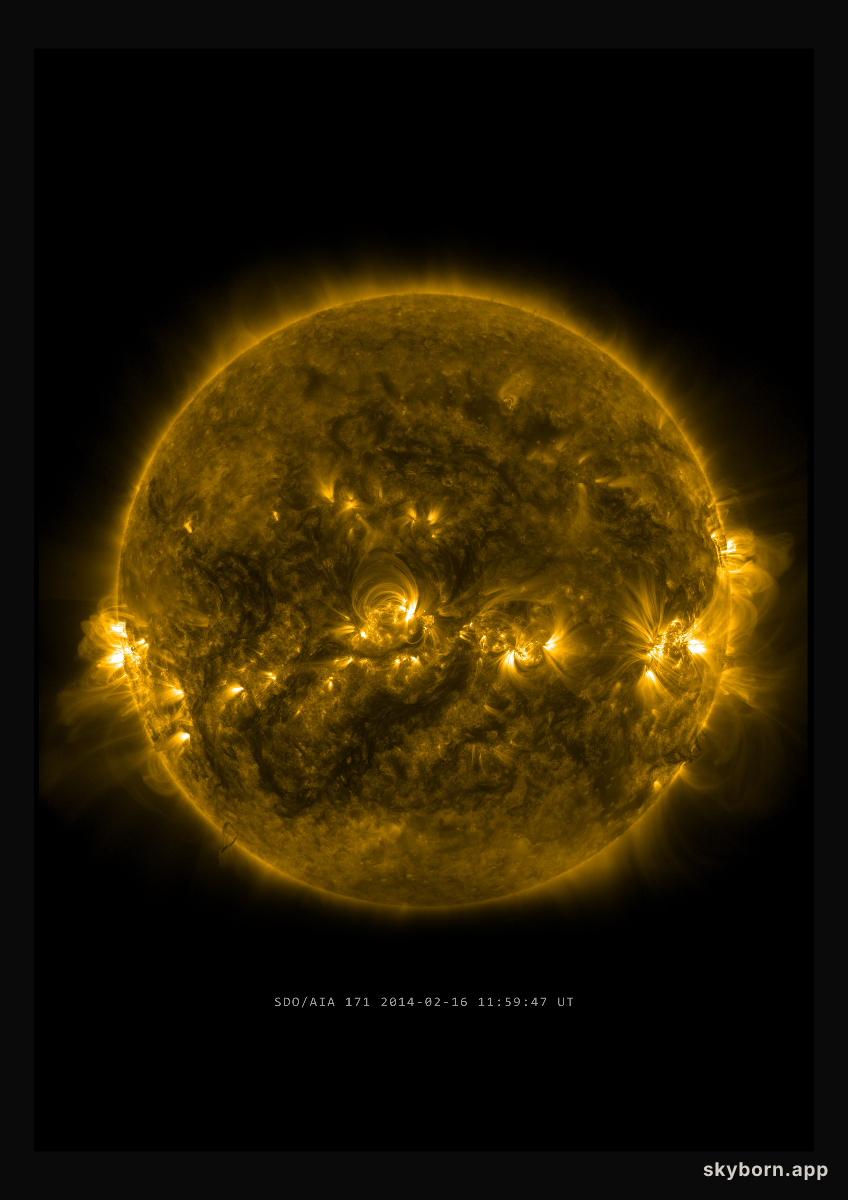 The Sun on 16 February 2014