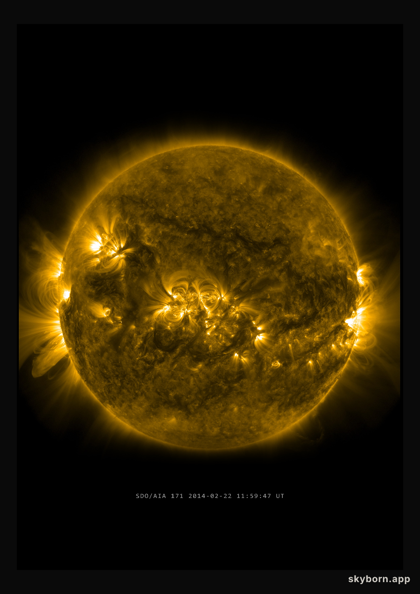 The Sun on 22 February 2014