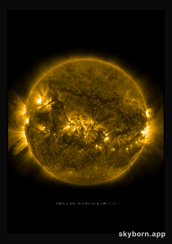 The Sun on 22 February 2014
