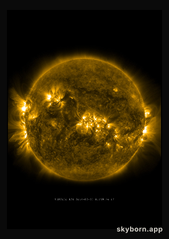 The Sun on 23 February 2014