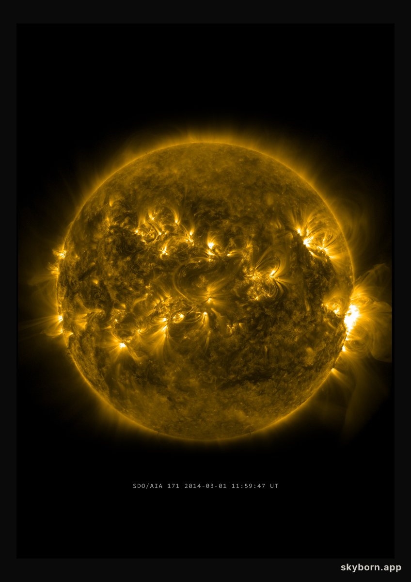 The Sun on 1 March 2014
