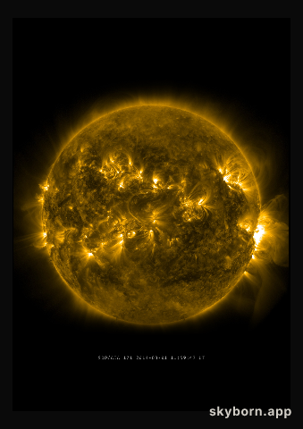 The Sun on 1 March 2014