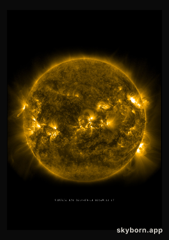 The Sun on 11 March 2014