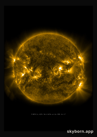 The Sun on 12 March 2014