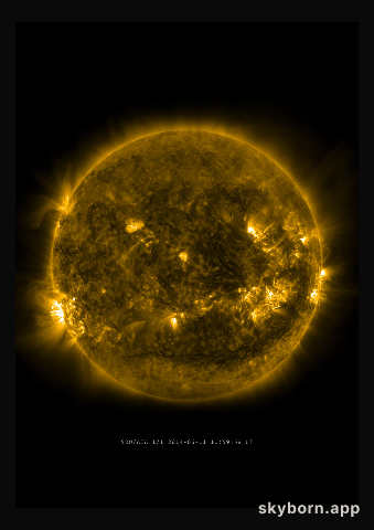 The Sun on 11 June 2014