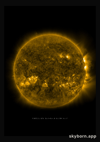 The Sun on 19 June 2014