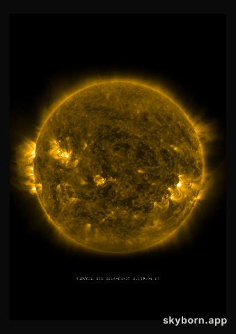 The Sun on 25 June 2014