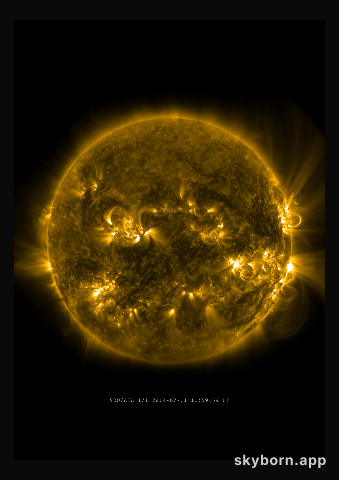 The Sun on 11 July 2014