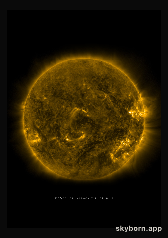 The Sun on 17 July 2014