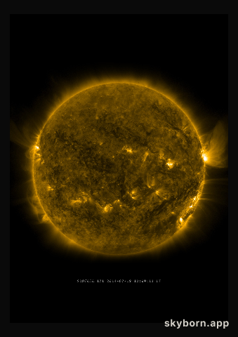 The Sun on 19 July 2014