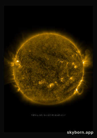 The Sun on 20 July 2014
