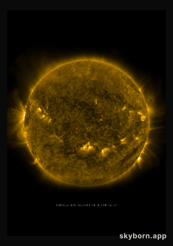 The Sun on 21 July 2014