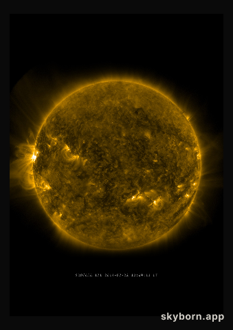 The Sun on 22 July 2014
