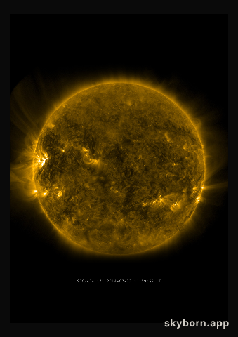 The Sun on 23 July 2014
