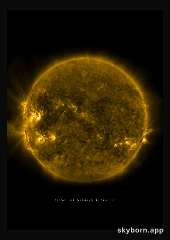 The Sun on 24 July 2014