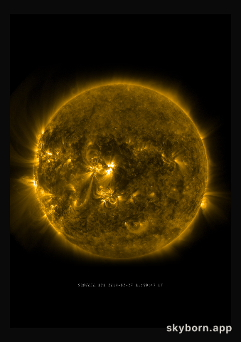 The Sun on 27 July 2014