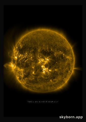 The Sun on 28 July 2014