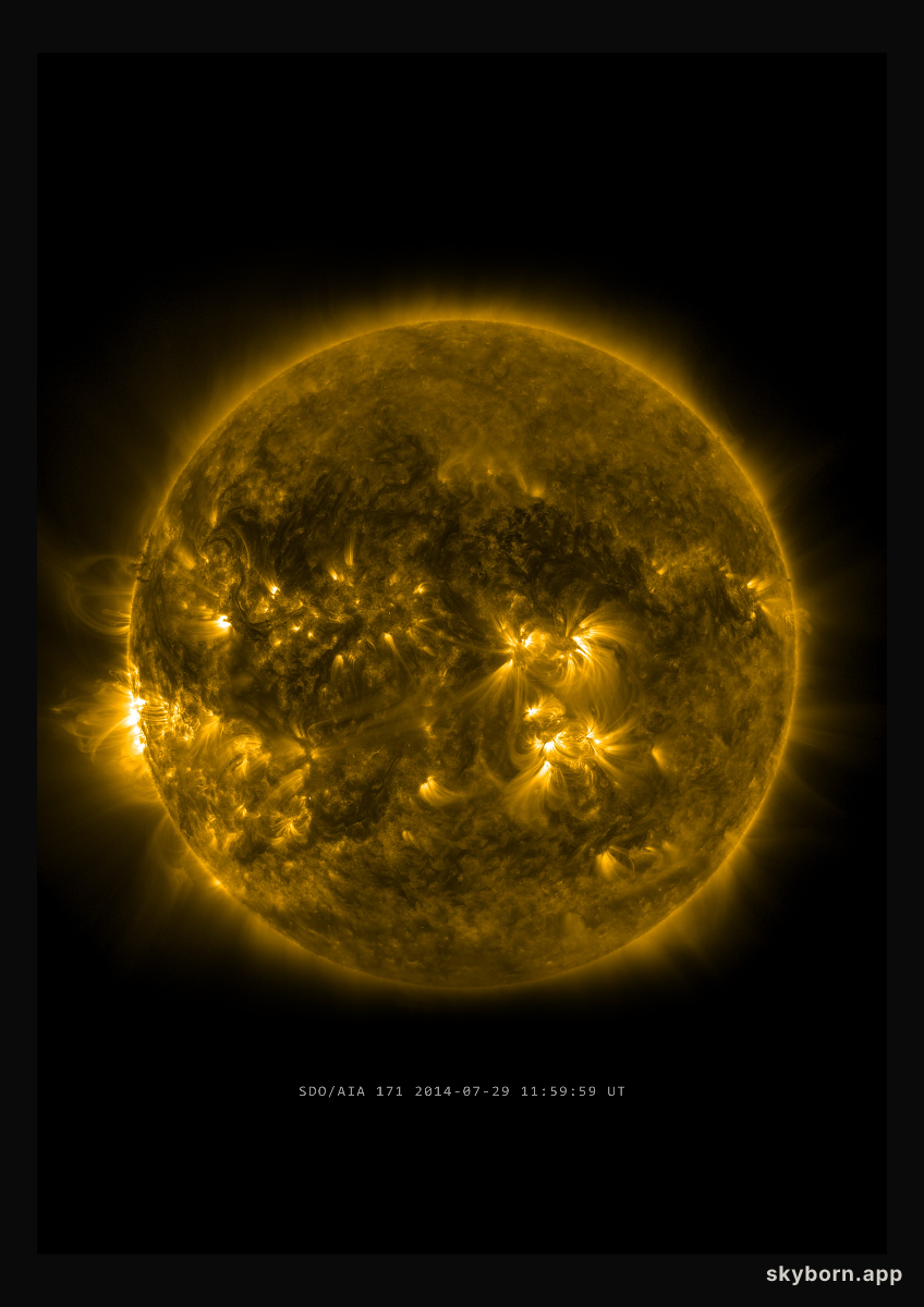 The Sun on 29 July 2014