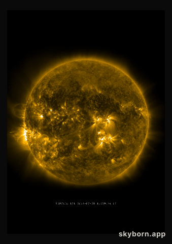 The Sun on 29 July 2014
